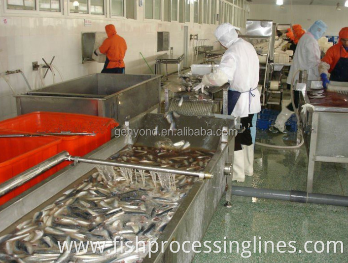 The most popular and the cheapest fish cleaning machine in canned fish processing line